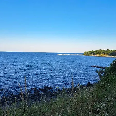 Campsite комплекс джулай морнинг *